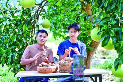 完美体育直播电商：出现新趋势亟待更规范